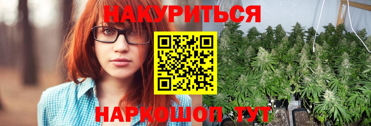 Хабаровск  Конопля SATIVA & INDICA  Конопля White Widow  Бошки Шишки OG Kush  Вход с VPN  Бошки марихуана сатива 